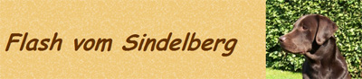 Flash vom Sindelberg Flash vom Sindelberg